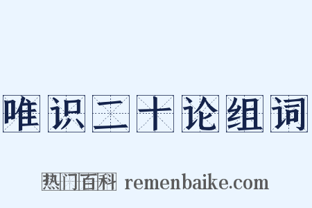 唯识二十论组词是什么意思的图片